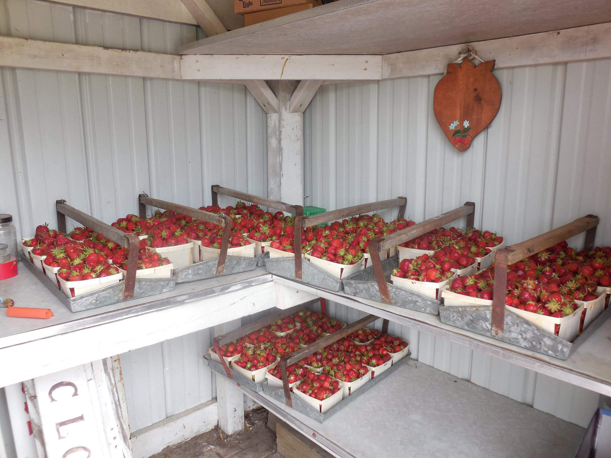 Strawberries Market