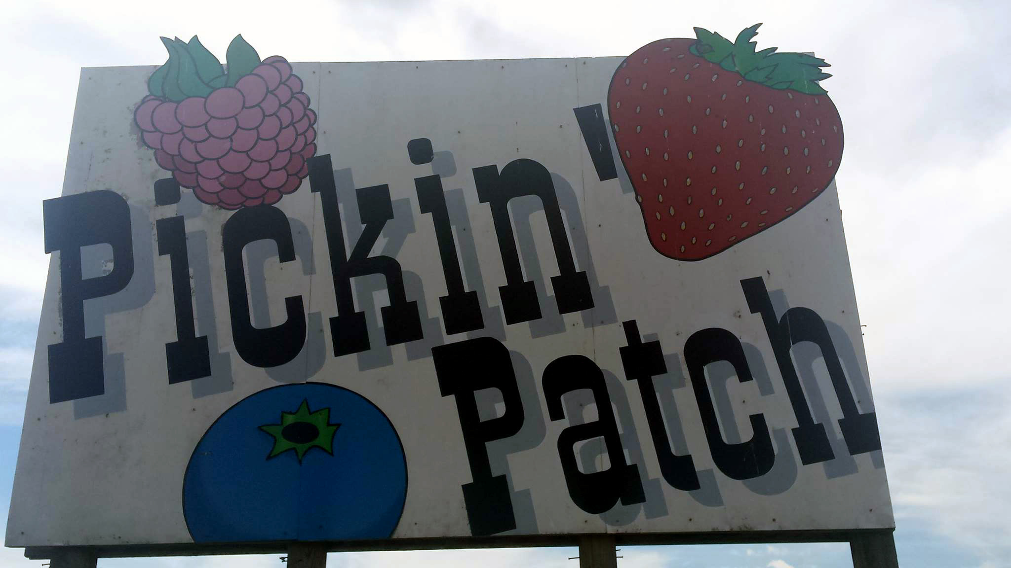 Pickin Patch